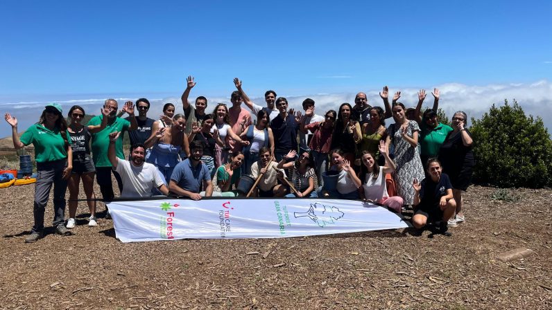 Una veintena de universitarios de Sevilla participaron en un campo de trabajo en Las Palmas de Gran Canaria