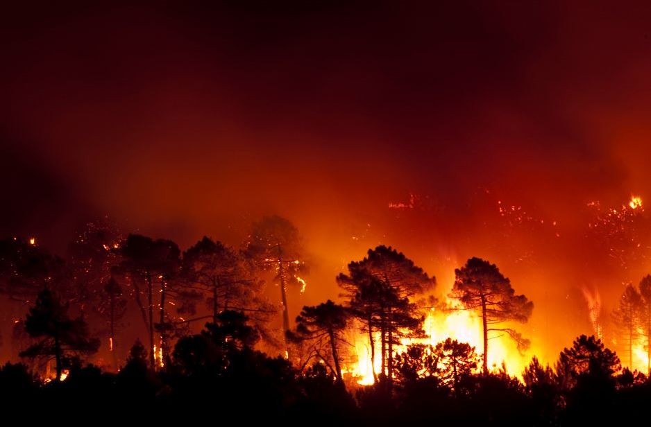 Un experto de la US atribuye la causa de los incendios intensos y de múltiples focos al cambio climático