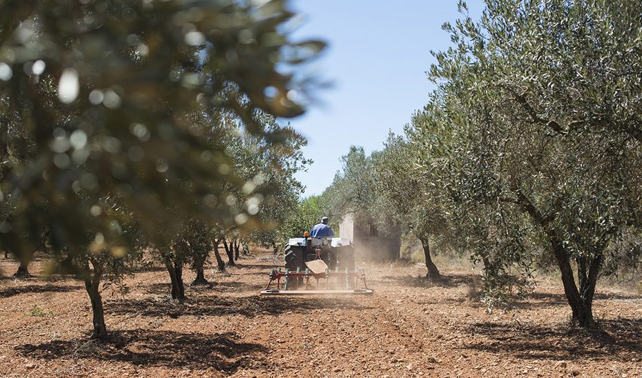 Más de 300 millones en ayudas para fomentar el relevo generacional y actualizar la maquinaria del campo