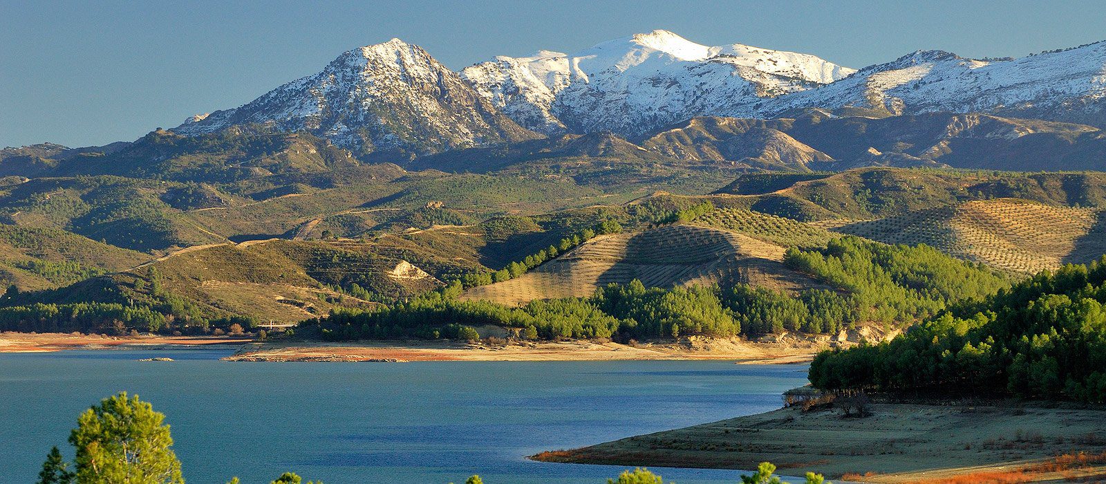 El Consejo Económico y Social de Andalucía comienza la elaboración de un dictamen a solicitud de la Consejería de Sostenibilidad y Medioambiente de la Junta de Andalucía