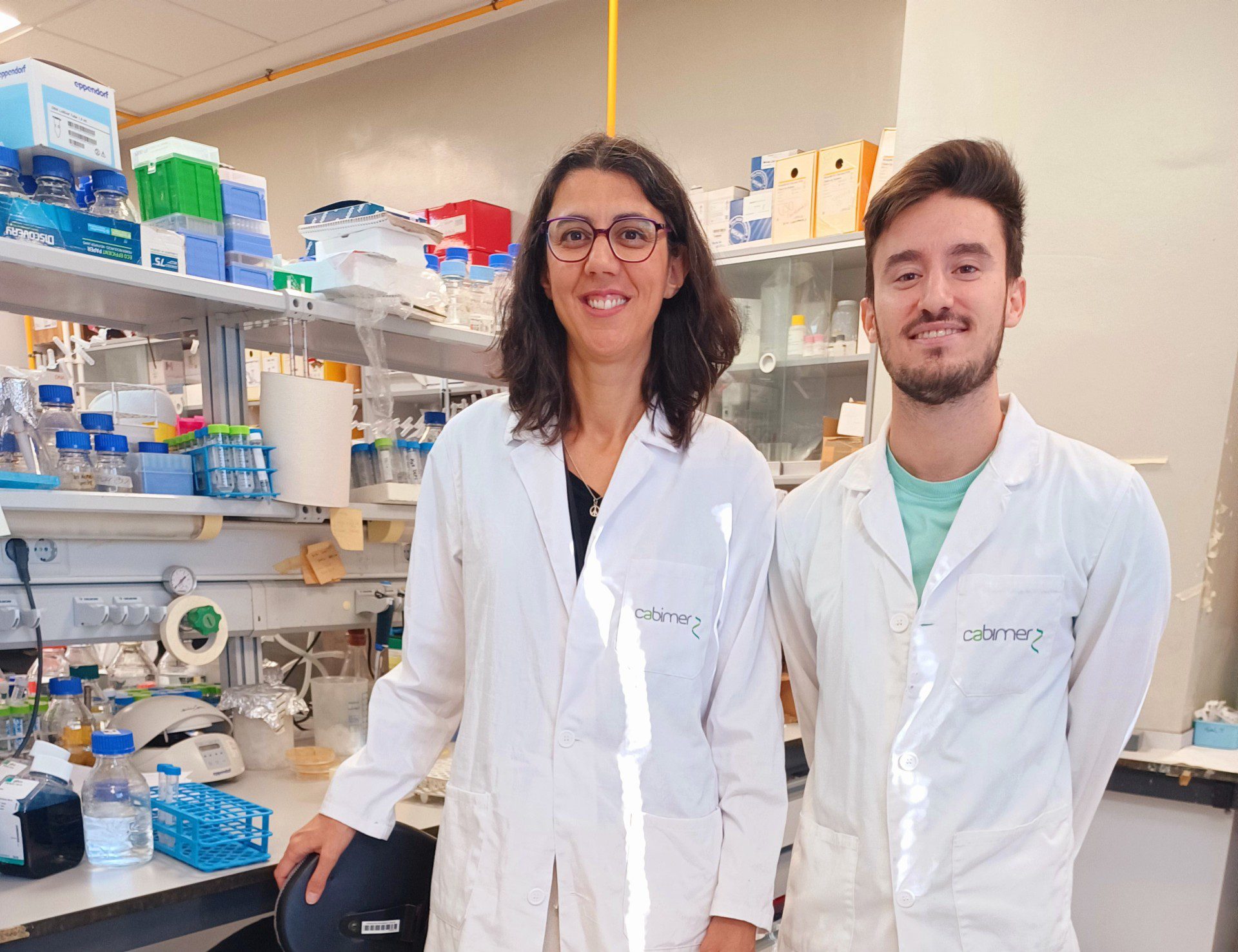Revelan factores potencialmente clave en la resistencia al daño de las células cancerosas