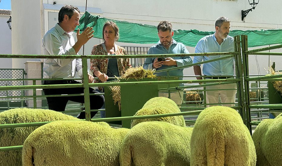 El Gobierno andaluz destaca la contribución de la ganadería extensiva a la gestión responsable y sostenible del territorio