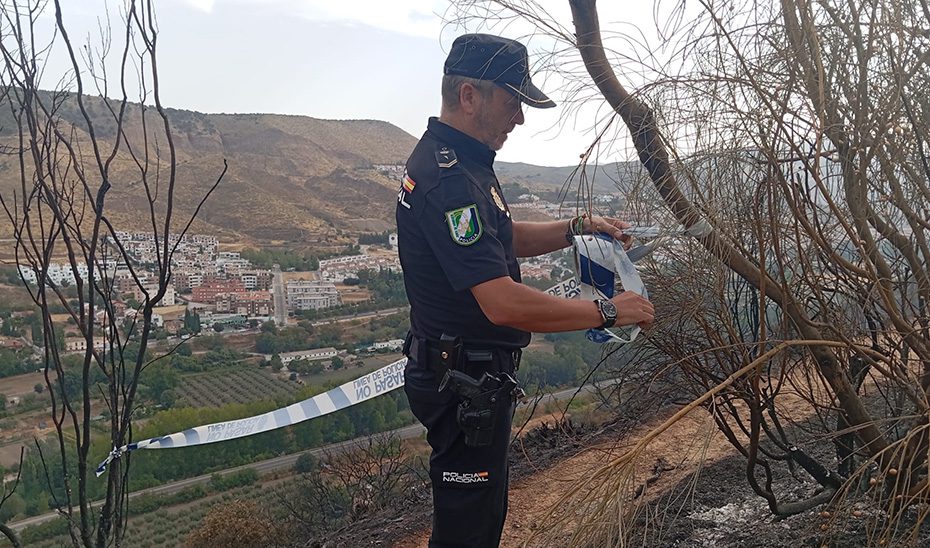 La Policía Adscrita y la Brigada de Incendios Forestales esclarecen el origen del fuego de la Fuente de la Bicha