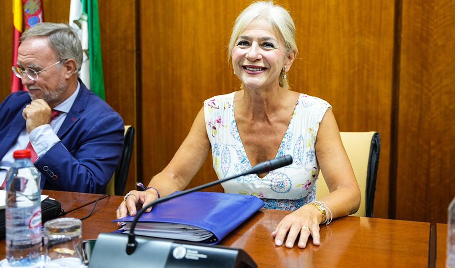 La Junta protegió como BIC más de un millar de bienes patrimoniales andaluces entre 2019 y 2025