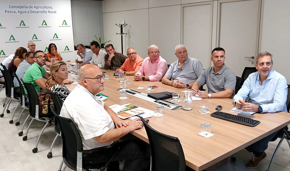 La Junta estima que Andalucía superará los dos millones de toneladas de cítricos en 2025-2026