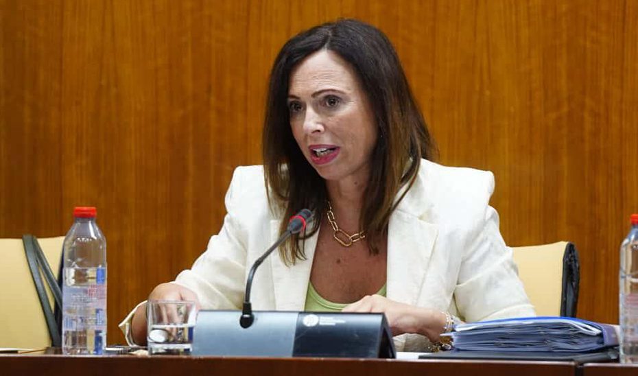 Cerca de 2.100 andaluces adquirieron su primera vivienda de la mano del aval hipotecario de la Junta