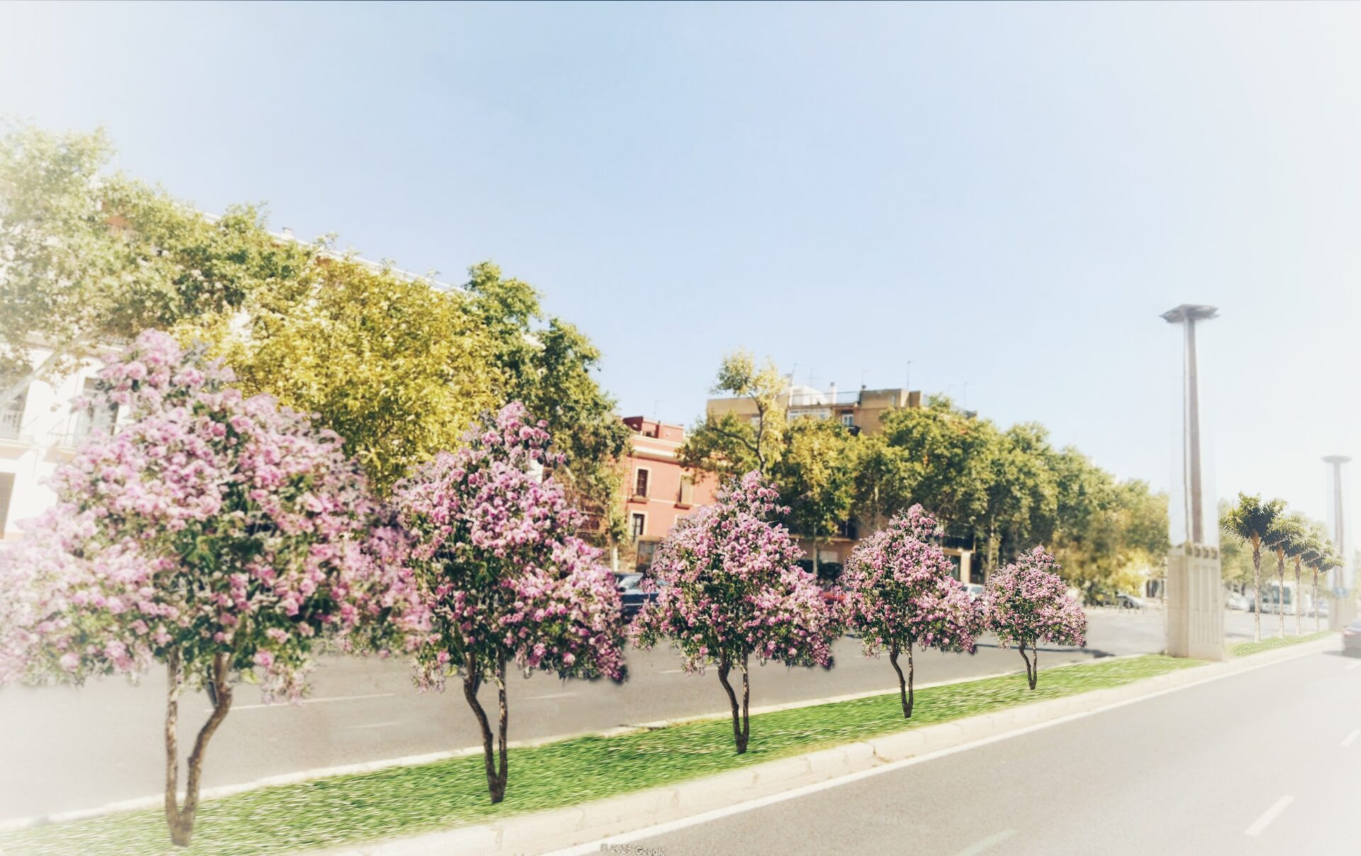 El Ayuntamiento inicia un ambicioso plan de reajardinamiento de ocho medianas con una inversión superior a 1,8 millones de euros