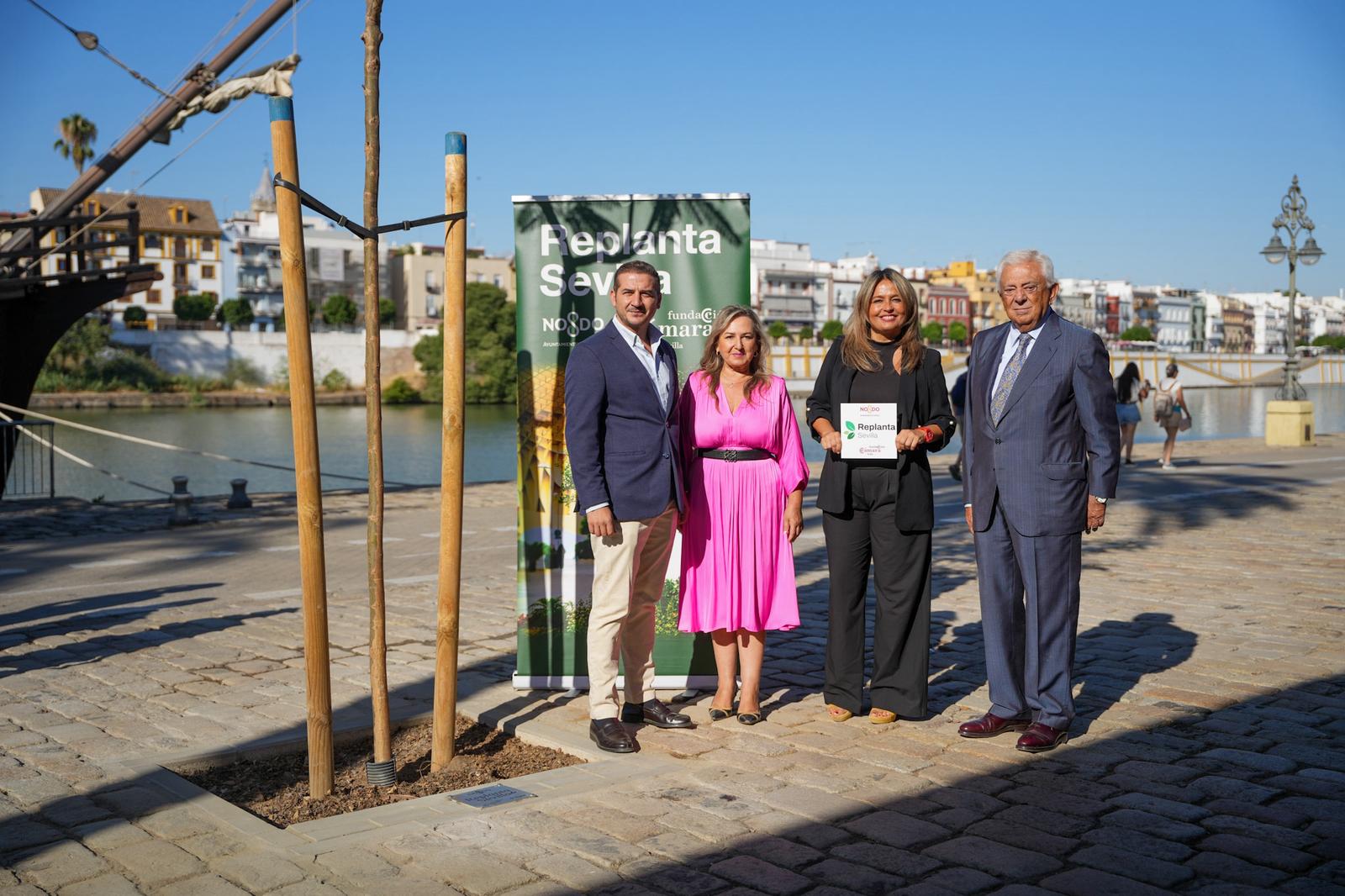 Ayuntamiento y Fundación Cámara de Comercio inician con la colocación de las placas en reconocimiento a las empresas que participan en Replanta Sevilla