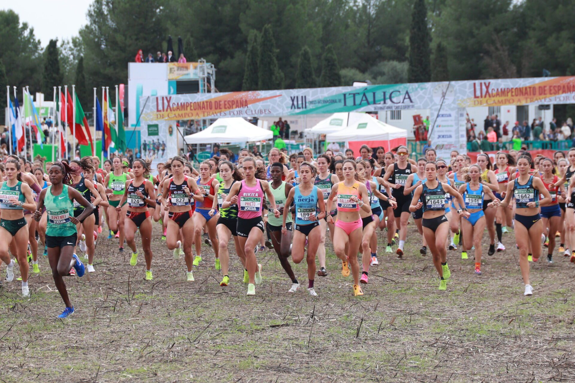 Ya están abiertas las inscripciones para participar en el XLIII Cross Internacional de Itálica que organiza la Diputación de Sevilla