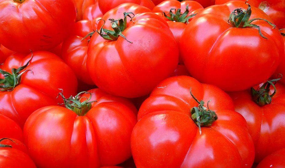 La Junta recibe 157 solicitudes para las ayudas de tres proyectos tractores de Transición Justa