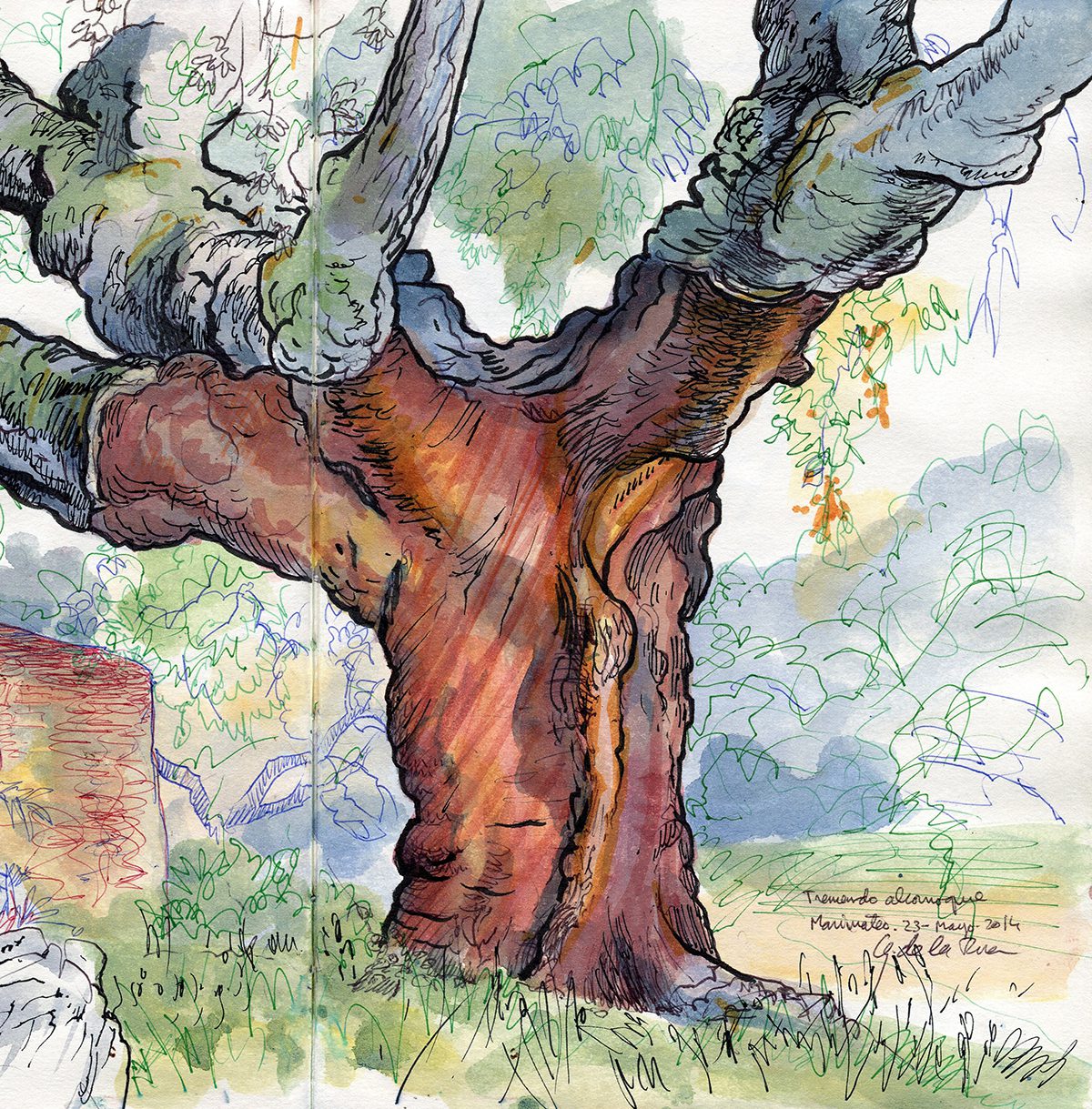 Un libro de dibujos ofrece una nueva mirada a la naturaleza
