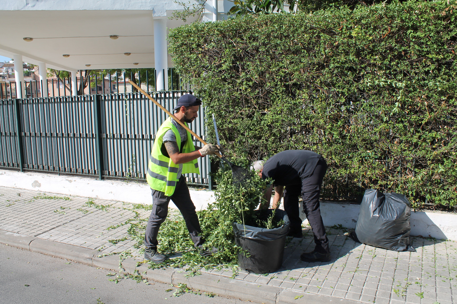 Últimos trabajos de jardinería, albañilería y pintura en diferentes puntos de Gelves
