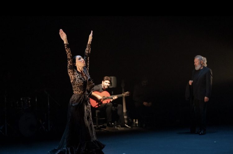 Teatro, danza, música y circo en la agenda de octubre de la Red Andaluza de Teatros Públicos