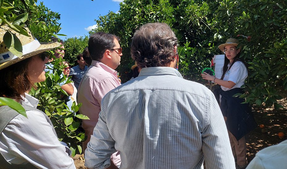 ‘DemoFarm Andalucía’ estrena web para ampliar la difusión de las herramientas digitales en el campo