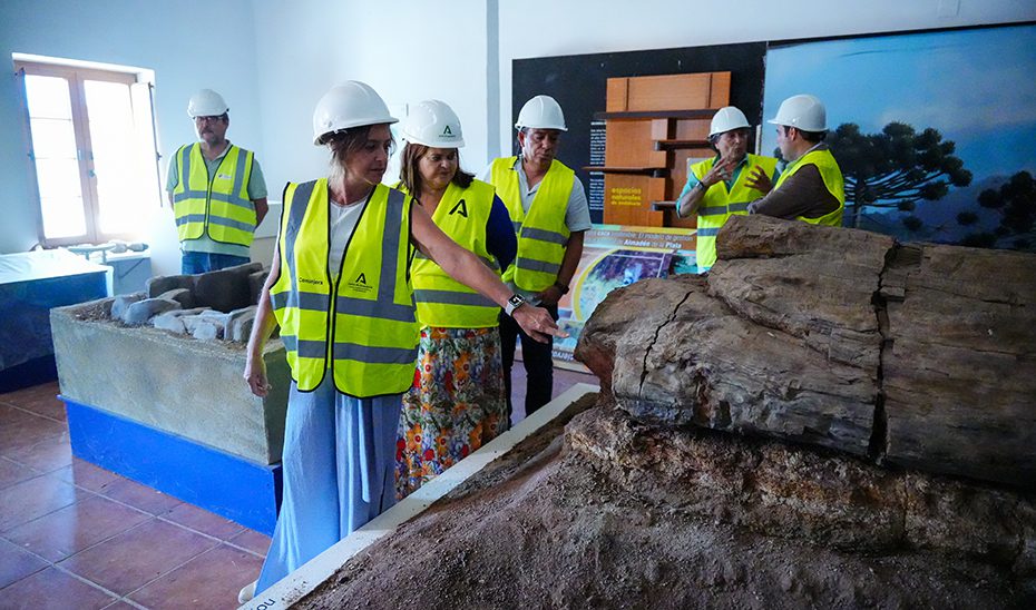 La Junta invierte 6,8 millones en instalaciones de uso público, caminos forestales y vías pecuarias en Sierra Morena de Sevilla