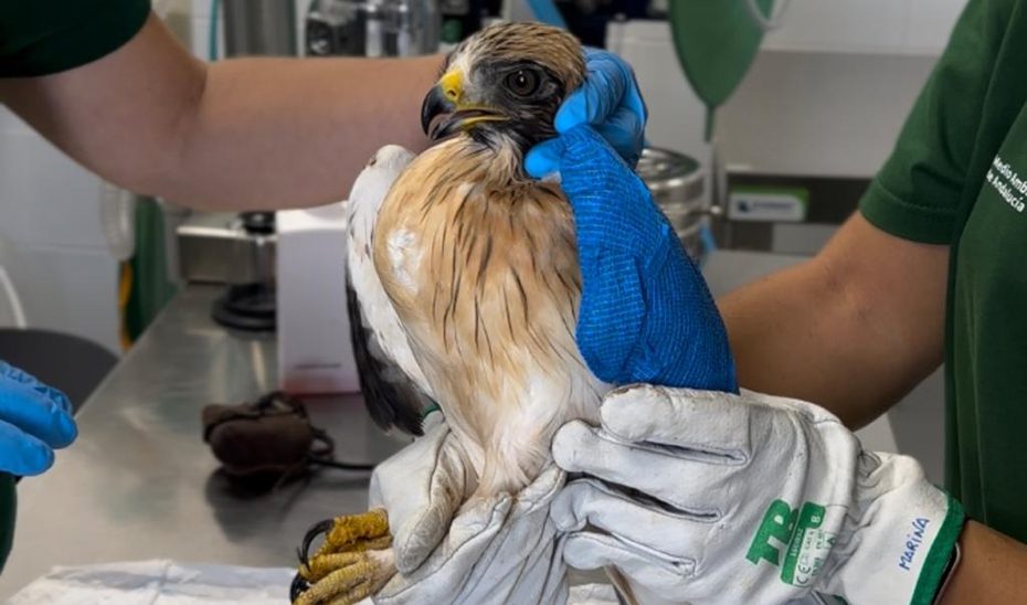 La Junta invierte más de 1,8 millones en la modernización del CREA Los Villares de Córdoba