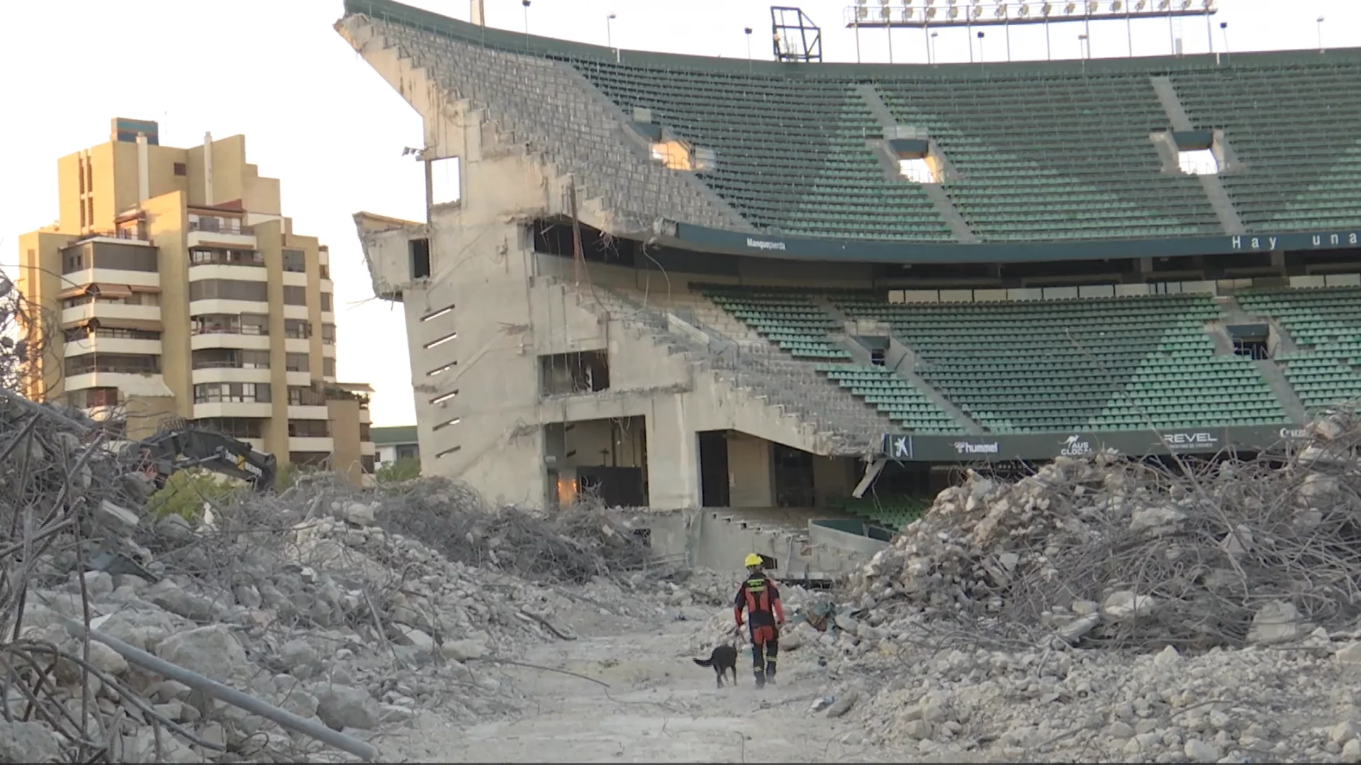 Los Bomberos de Sevilla entrenan en el Benito Villamarín con su Unidad Canina