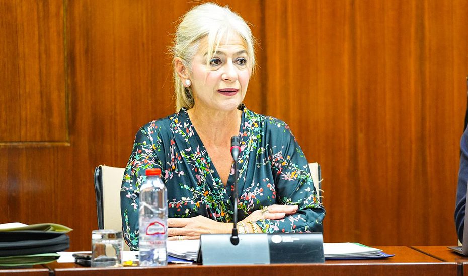 El Gobierno andaluz aprobará el primer Plan Director del Conjunto Arqueológico de Itálica