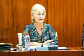 Del Pozo anuncia la aprobación inminente del primer Plan Director del Conjunto Arqueológico de Itálica