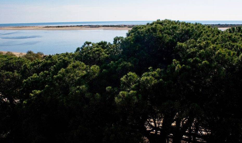 La Junta reconoce a las fundaciones SAFA, Cosentino, Atlantic Copper, Arruzafa y El Pimpi