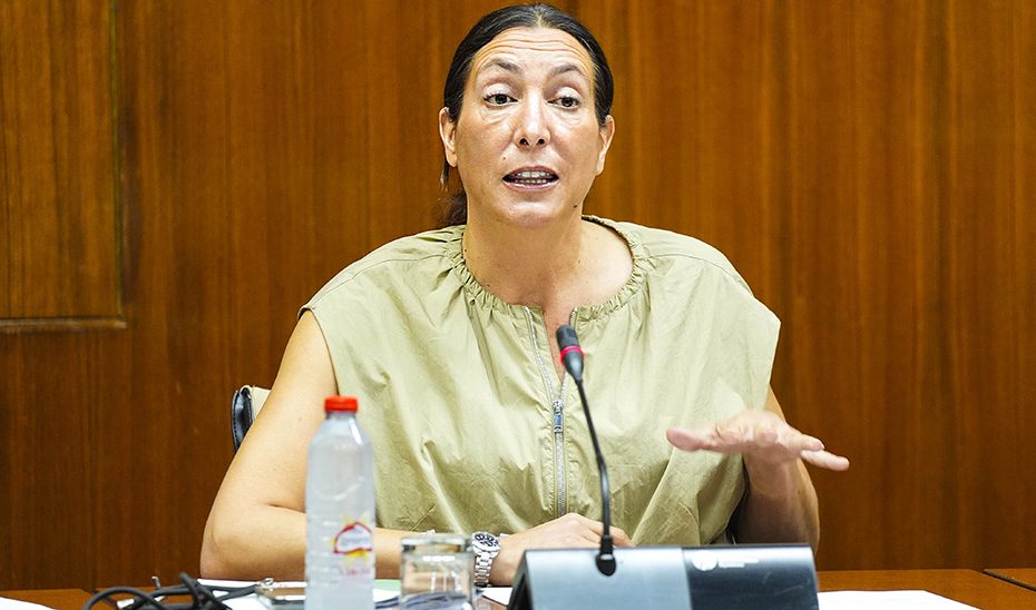 Andalucía bate nuevo récord en dependencia: Más de 311.600 beneficiarios y 472.300 prestaciones