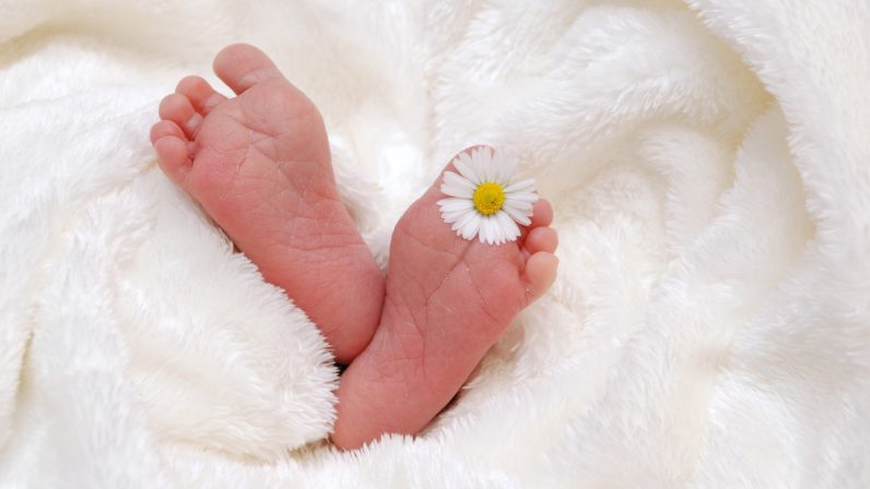 Pro Vida Mairena celebra la 40ª edición de la Semana de la Vida