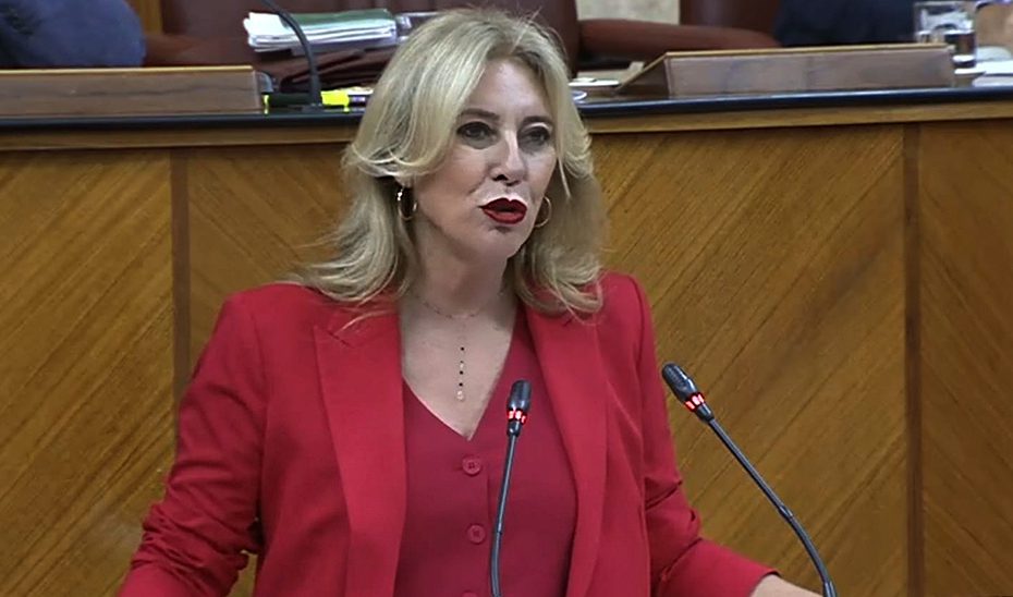 La nueva Ley del Patrimonio avanza en el Parlamento para poner orden y rigor en la gestión de los bienes públicos