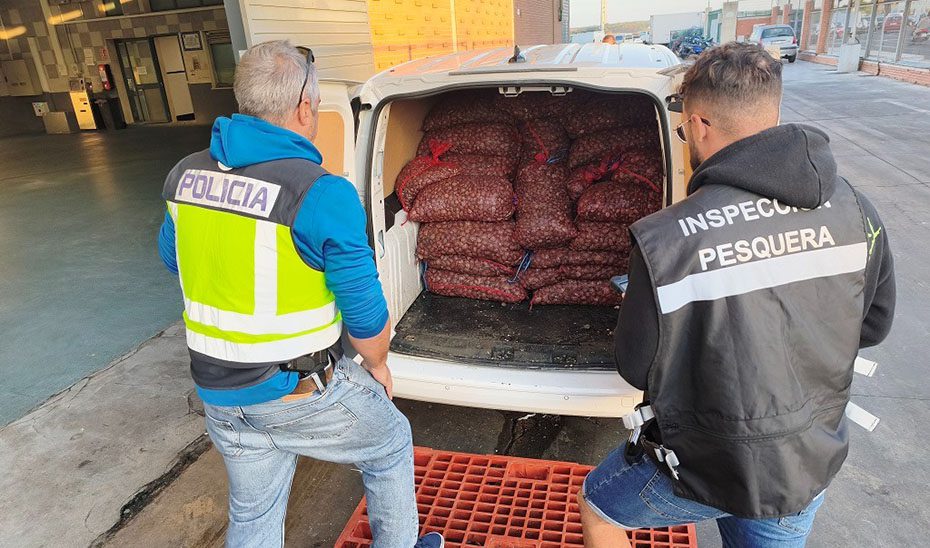 1761228397062InspeccionPesquera.jpg Junta y Policía Nacional intervienen 1.600 kilogramos de almeja japonesa sin garantía de seguridad alimentaria
