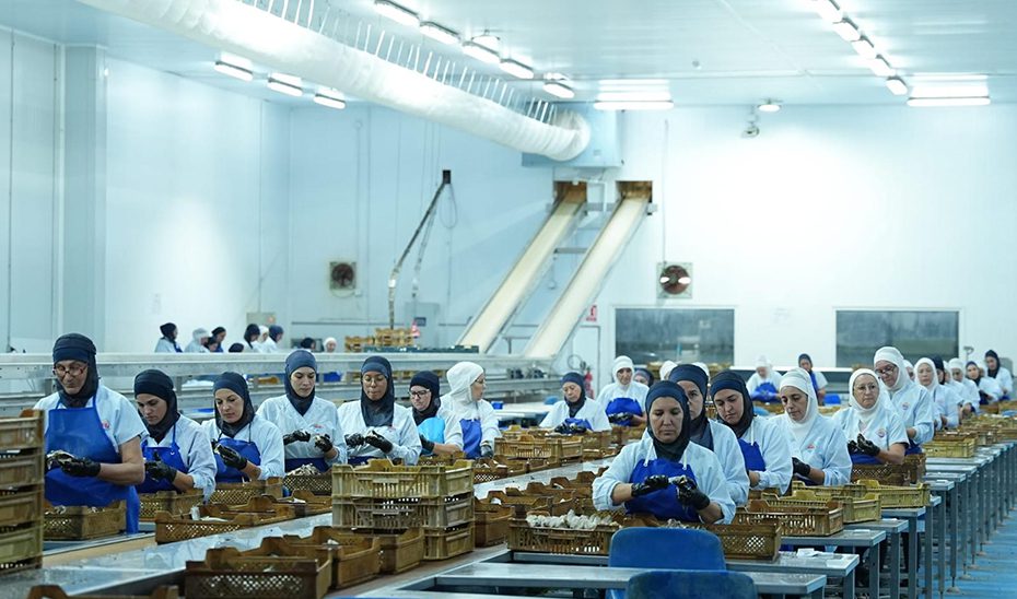 La pesca artesanal, USISA y La Palma, galardonados en los Premios de Andalucía de Agricultura y Pesca