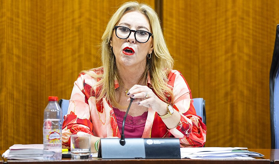 El presupuesto para atención a la dependencia en Andalucía crecerá en 2026 un 12% hasta los 2.610,6 millones