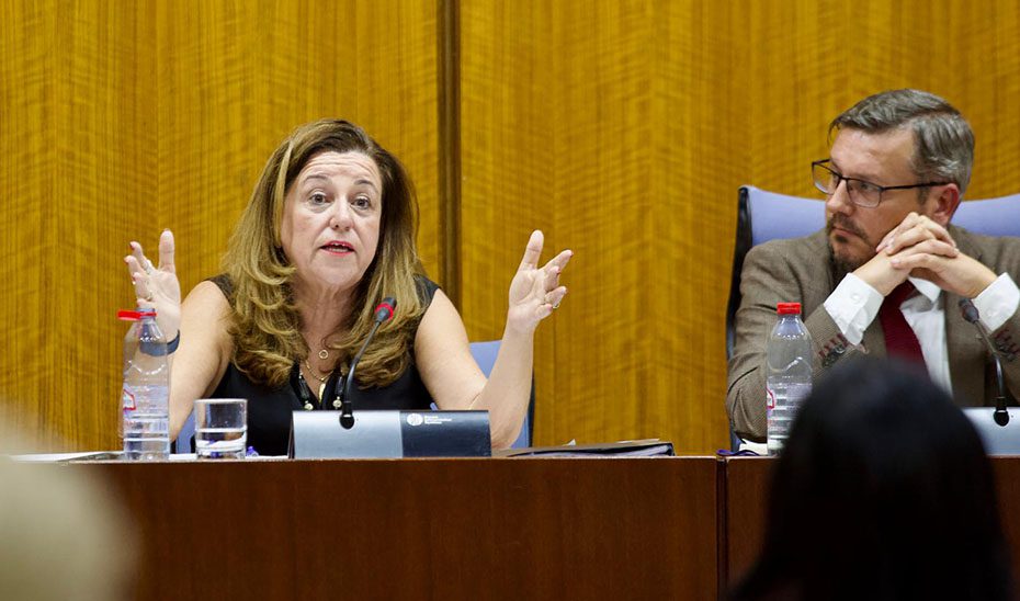 1761760270677Castilloacoso_Est.jpg La Junta defiende el compromiso de los centros escolares con la convivencia y contra el acoso