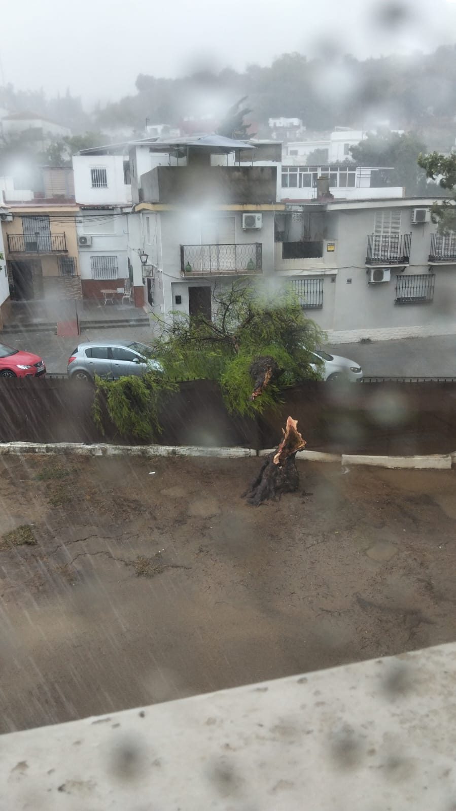 Gelves supera con daños leves el temporal de lluvia y viento de ayer