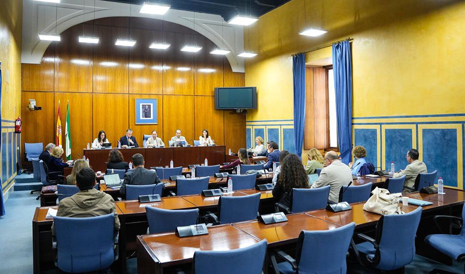 1761922072693SanzComision_Est.jpg El presupuesto para la EMA en 2026 aumenta casi un 5%, alcanzando los 271,6 millones de euros