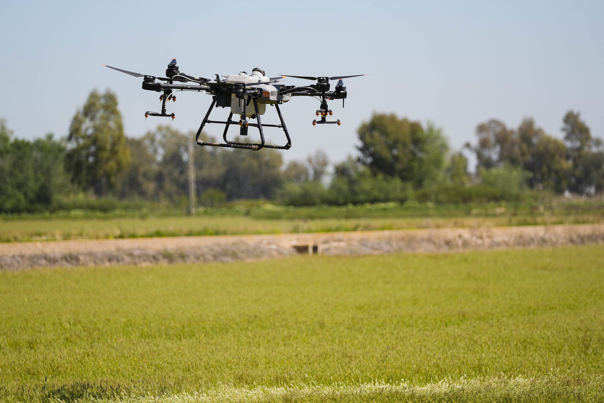 La Diputación de Sevilla ha actuado hasta finales de octubre sobre más de 11.000 hectáreas con el Plan frente al Virus del Nilo Occidental (VNO)