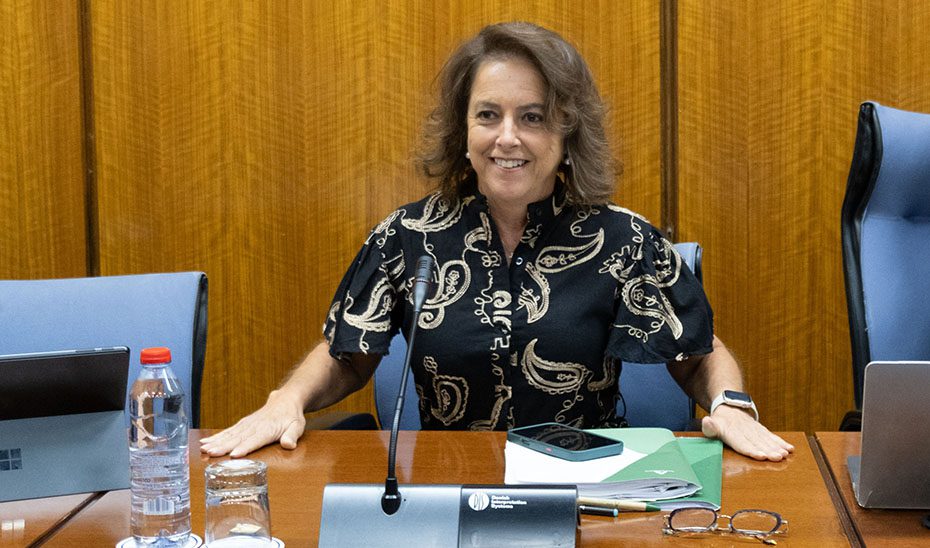 Las cuentas de Sostenibilidad y Medio Ambiente para 2026 ascienden a 673,6 millones, un 34% más que en 2018