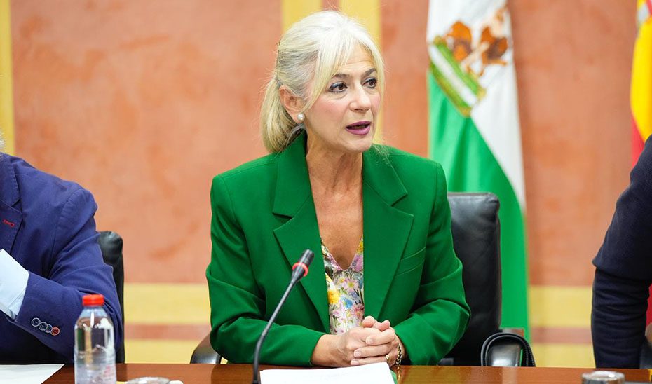 Cultura y Deporte consolida en sus cuentas de 2026 el mayor apoyo histórico a los sectores creativos y deportivos con más de 43 millones