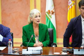 Cultura y Deporte consolida en sus cuentas de 2026 el mayor apoyo histórico a los sectores creativos y deportivos de Andalucía con más de 43 millones