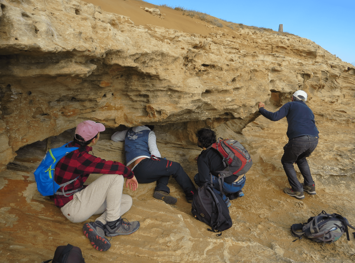 Documentan por primera vez huellas de elefantes prehistóricos en dunas fósiles de Murcia