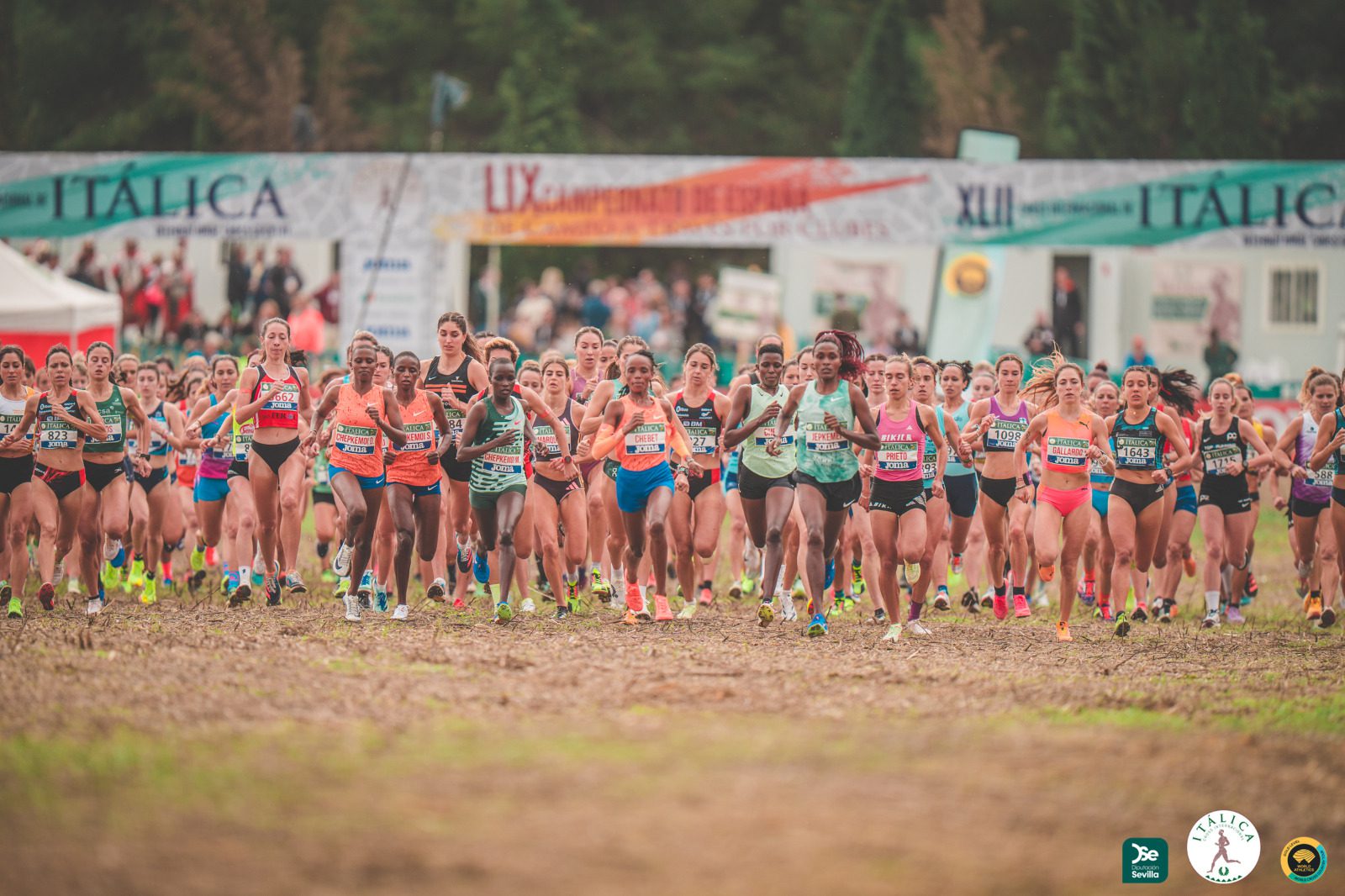 Kwizera, Ndikumwenayo, Kipkemboi o Winfred Yavi, que se estrena, en la nómina de atletas internacionales participantes en el Cross Internacional de Itálica 2025