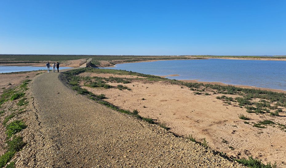 El Comité Andaluz de Humedales aprueba incluir tres nuevos espacios en el Inventario de la comunidad