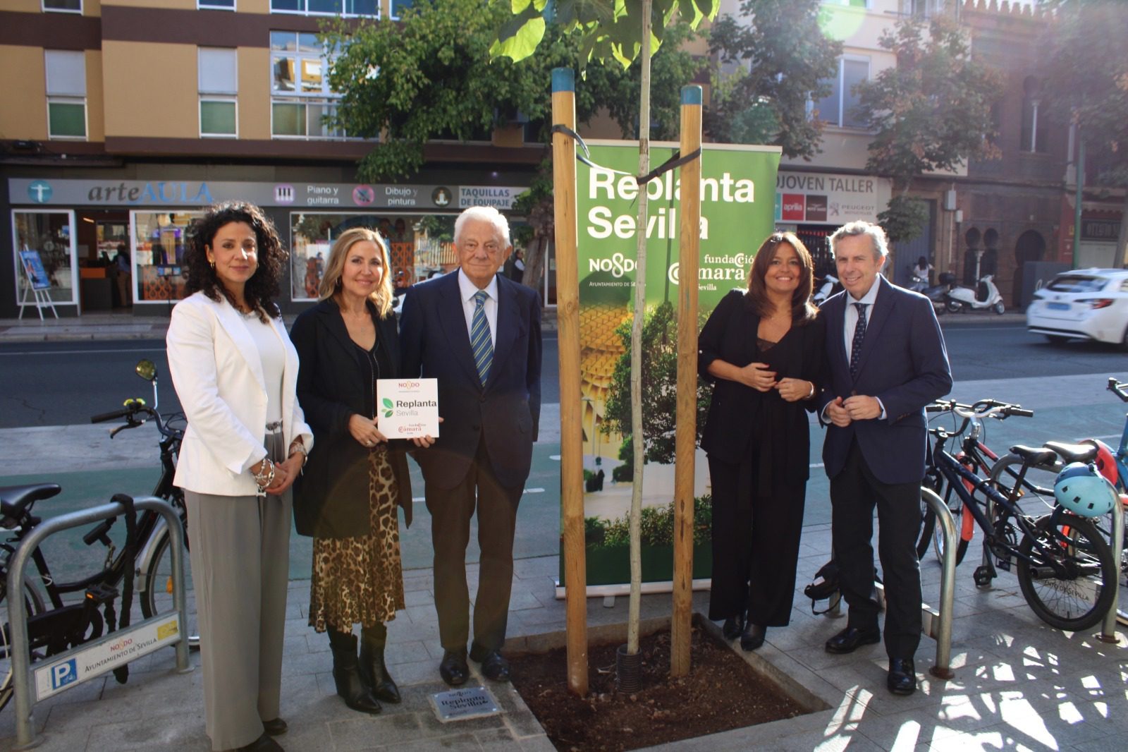El Ayuntamiento y la Fundación Cámara de Comercio reconocen a Lamaignere, Consorcio Jabugo y Fundación MAS por su aportación de 50 árboles al proyecto Replanta Sevilla
