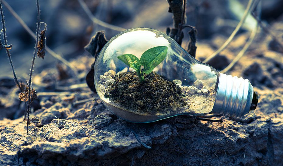 La Junta destina cinco millones para acciones frente al cambio climático en los municipios