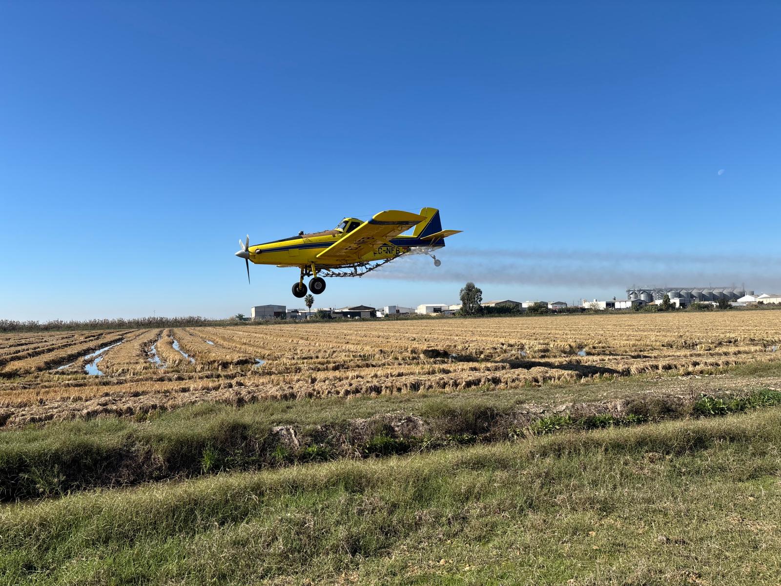 La Diputación inicia la tercera fase de tratamientos biocidas aéreos en el arrozal para el control de los mosquitos transmisores del Virus del Nilo Occidental