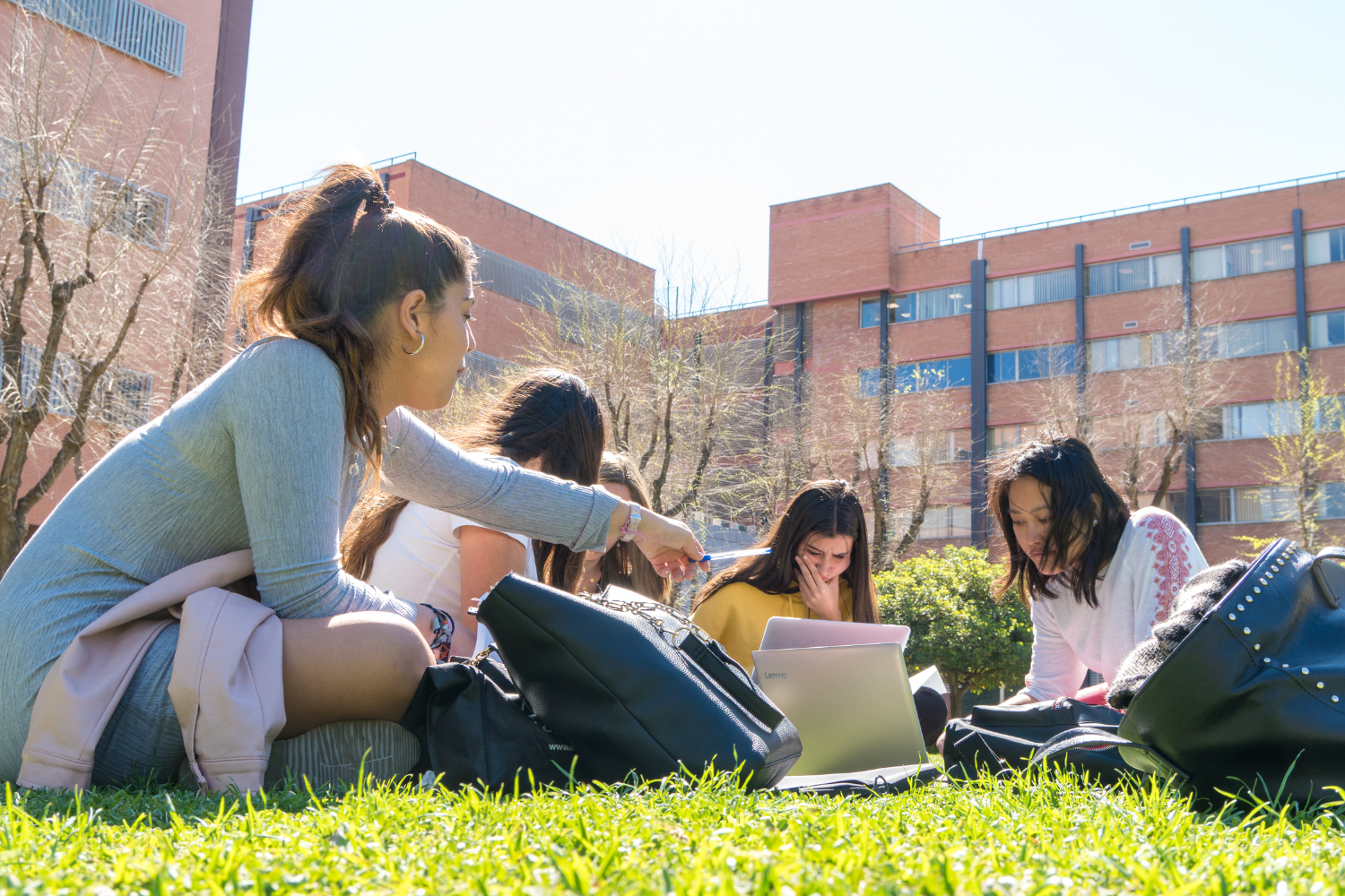 Programa ‘Estudiantes’: ayudas sociales para universitarios con problemas económicos