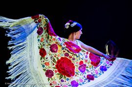 La Consejería de Cultura lleva la fuerza expresiva del arte ‘jondo’ a los museos en el Día del Flamenco