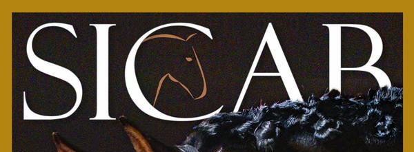 SICAB 2025: el Ayuntamiento reparte invitaciones gratuitas entre los empadronados