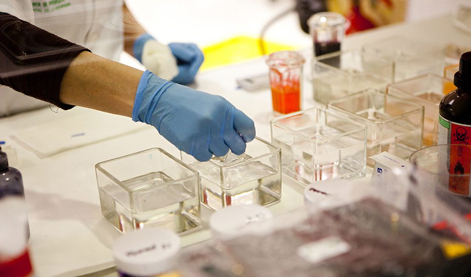 Aprobado el Proyecto de Ley para el Avance de la Ciencia, la Tecnología y la Innovación