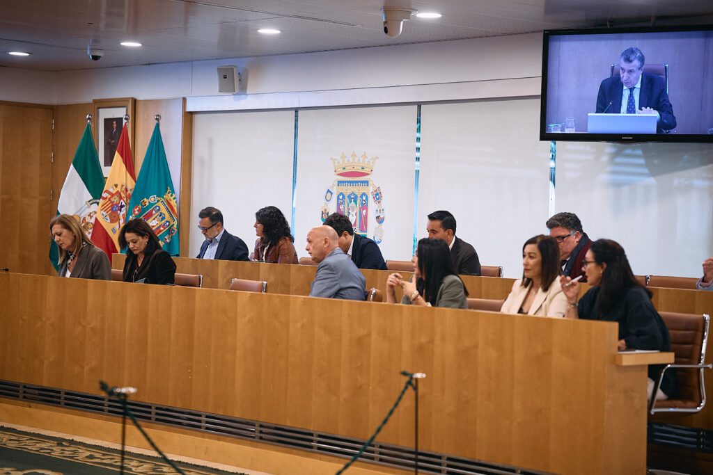 El Pleno de la Diputación de Sevila aprueba su Presupuesto General para ...