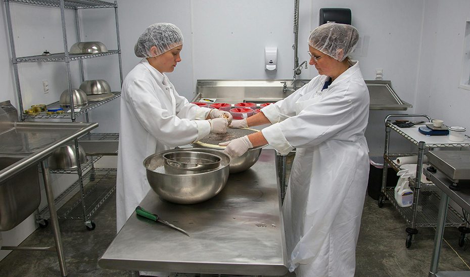 ‘T-Acompañamos’ facilita empleo a 22.000 personas de colectivos vulnerables en una nueva edición