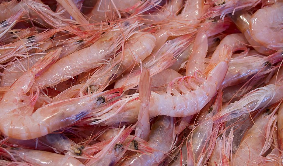 La Junta convoca nuevas ayudas para impulsar el valor añadido de los productos pesqueros